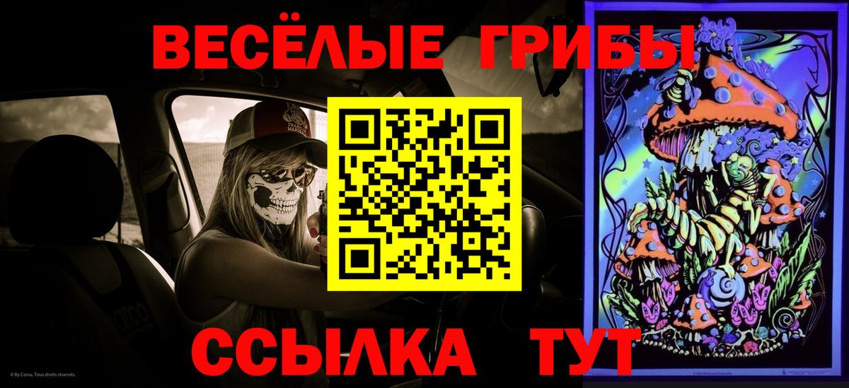 Псилоцибиновые грибы прущие грибы Сыктывкар