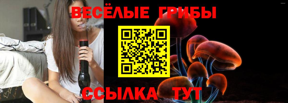 Галлюциногенные грибы Magic Shrooms  Вход с VPN  Сыктывкар  Галлюциногенные грибы ЛСД 